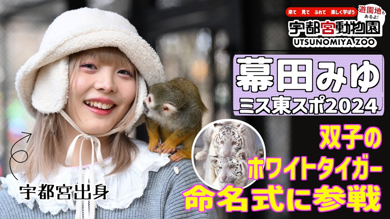 【宇都宮動物園】ホワイトタイガー２頭の命名式 「アイカ」「イオリ」に決まる