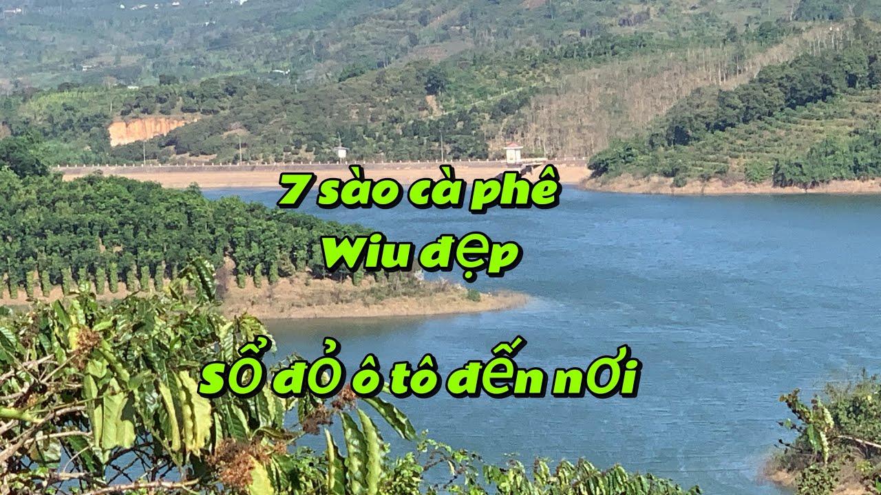 🌿 BÁN 7 SÀO CÀ PHÊ – SỔ ĐỎ ĐẦY ĐỦ VIEW SÔNG K62 CỰC ĐẸP 🌿Ls 736