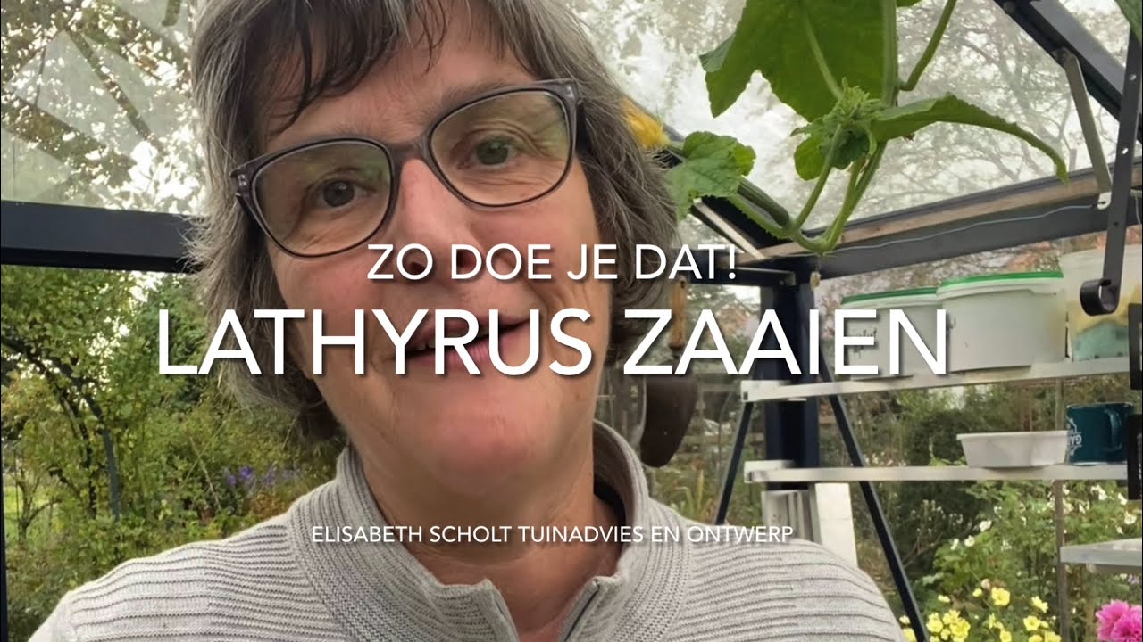 Zo doe je dat: Lathyrus zaaien