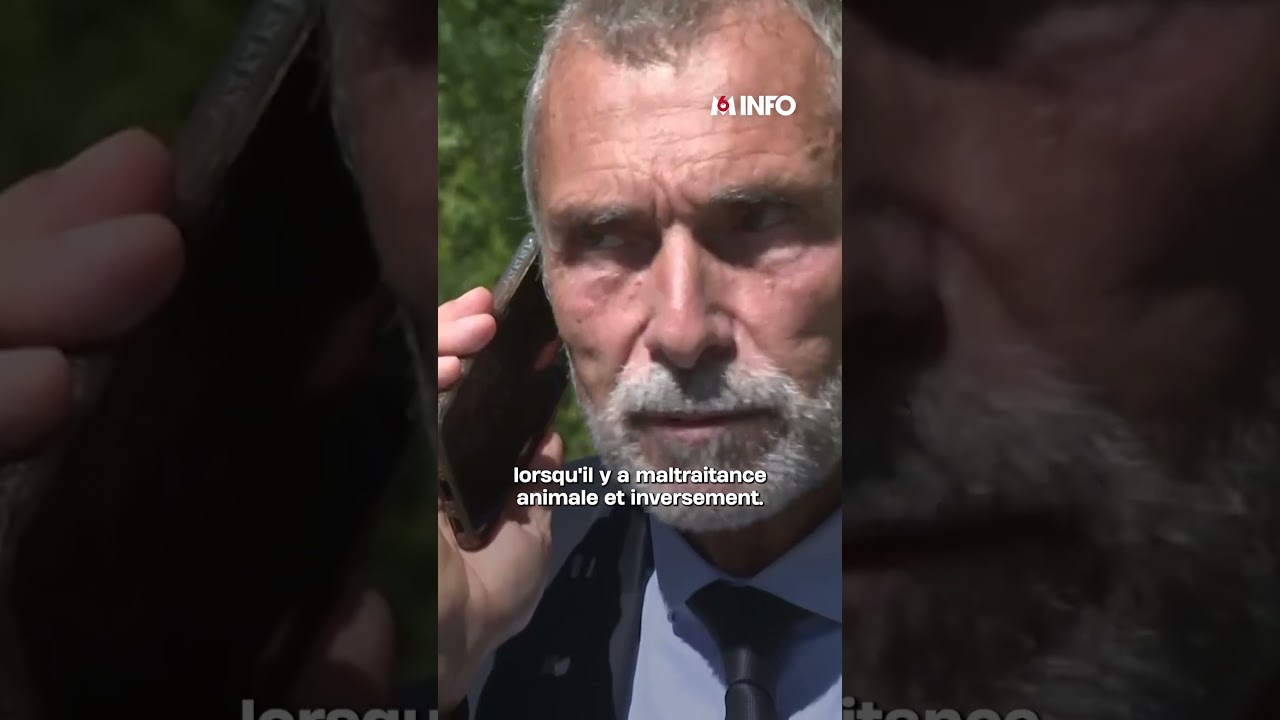 La maltraitance animale, un signe des violences domestiques