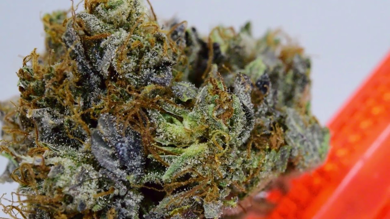 Artisan Batch Pink kush strain