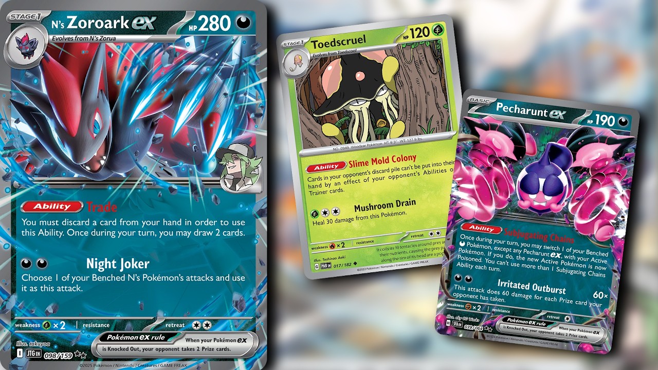 How to Play Gabriel Fernandez Zoroark ex Deck