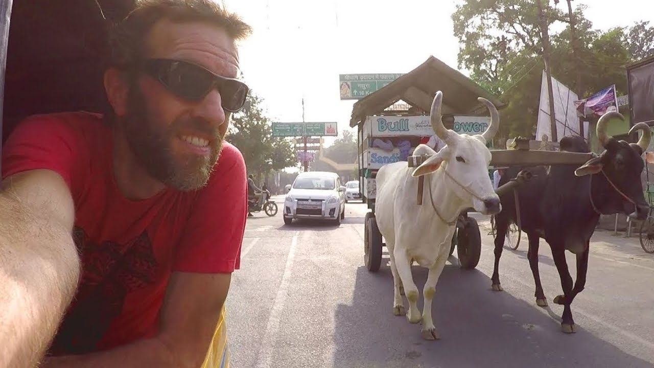 What Is It REALLY Like to Travel INDIA? Intense Travel Day