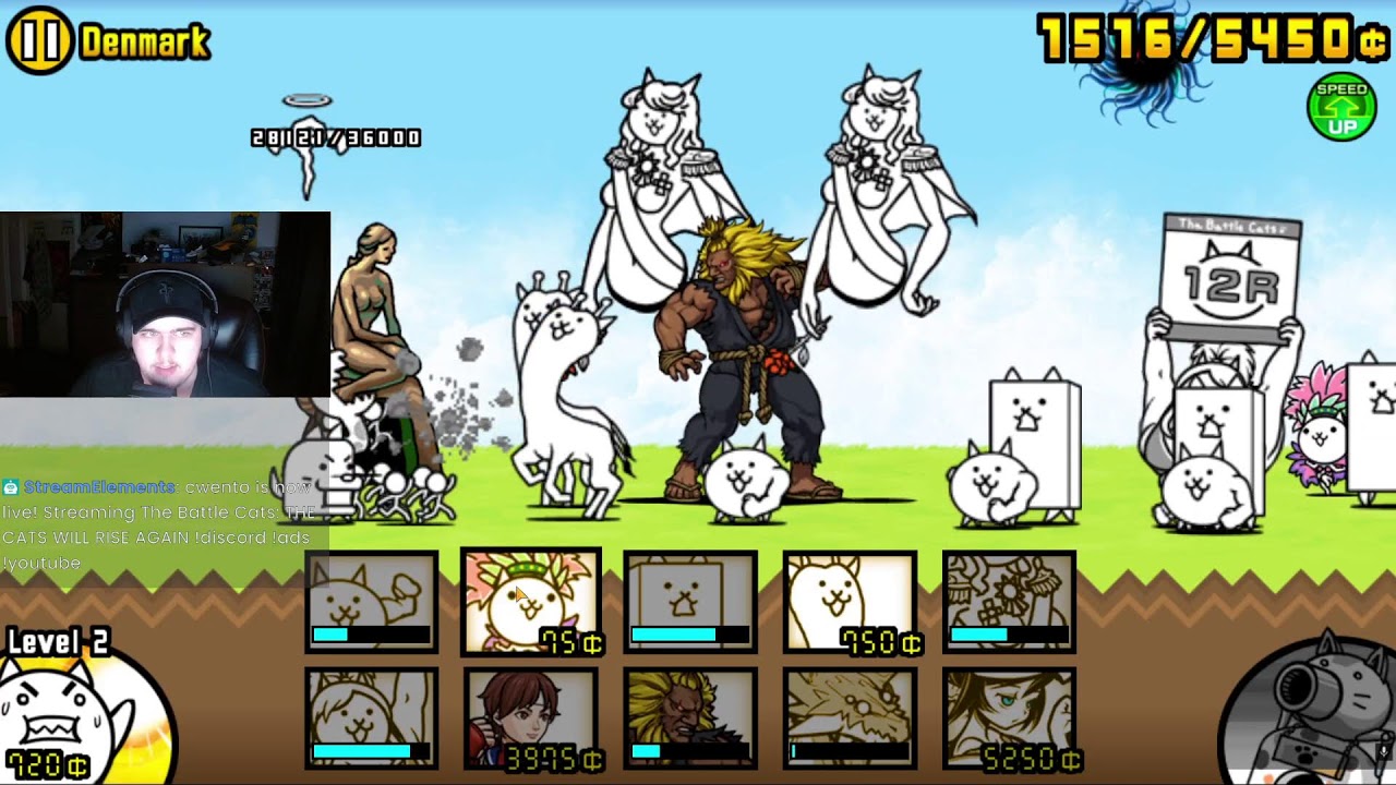 THE CATS WILL RISE AGAIN