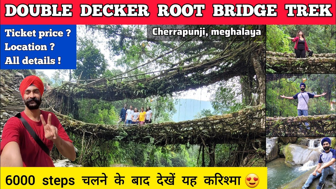 Double decker living root bridge cherrapunji full information Double decker bridge in meghalaya trek