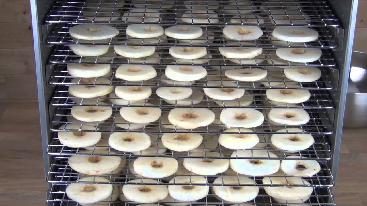 Weston 10 Tray Stainless Steel Dehydrator Overview & Demonstration drying Apples