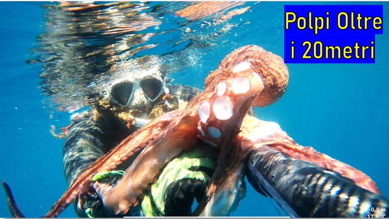 POLPI oltre i 20m porto a casa 5kg
