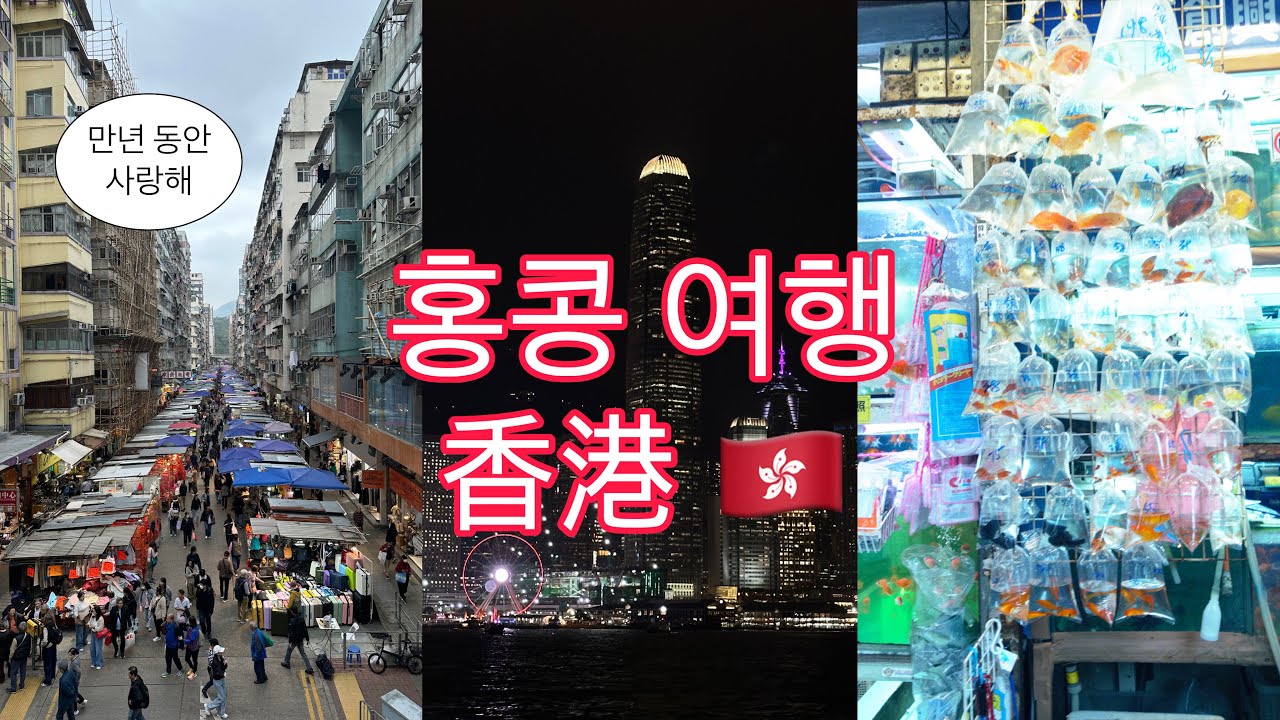 🇭🇰홍콩Vlog | 완탕면.차찬탱.딤섬.에그타르트 먹다가 끝난 홍콩 여행 | 옥토퍼스카드 없이 홍콩 대중교통 타기