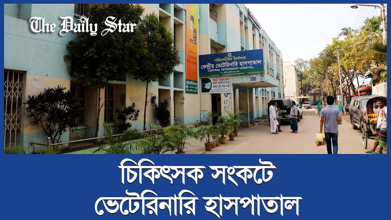 জটিলতার আরেক নাম কেন্দ্রীয় ভেটেরিনারি হাসপাতাল!