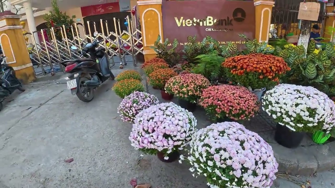 Chợ hoa xuân Hội An - Tết Bính Ngọ - Chiều 27 Tết