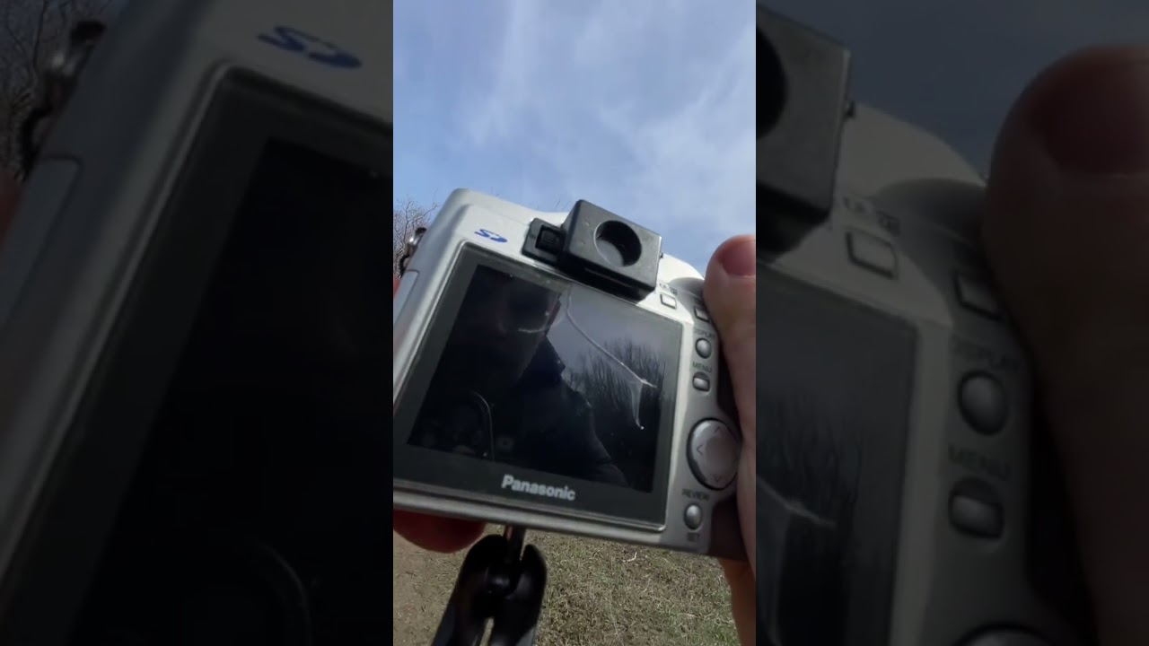 Panasonic LC-5 аналог Leica Digilux 1, мини обзор с примерами фотографий