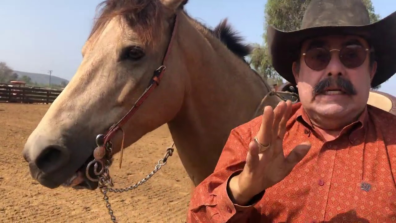 Bajador lo peor para un caballo