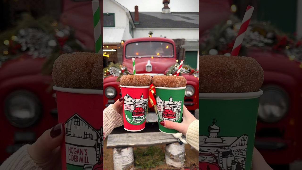 The CUTEST apple cider in all of Connecticut 🎄 (and it&rsquo;s even better at Christmas) #shorts