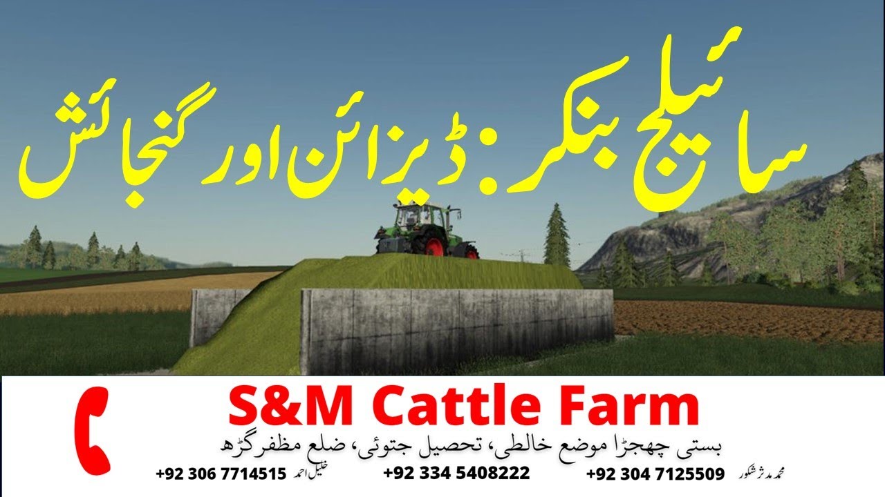 Silage Bunker Design and Capacity, سائیلج بنکر کا ڈیزائن اور گنجائش