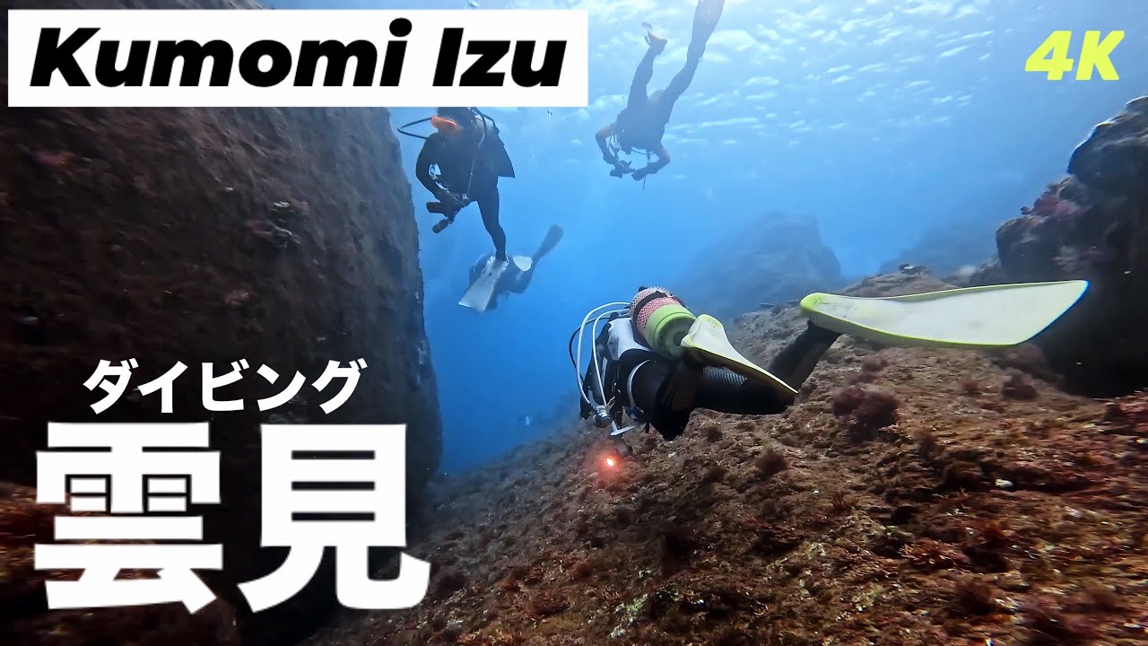西伊豆・雲見 地形ダイビング｜牛付岩〜水路を巡る癒しの水中Vlog　Izu Japan Diving Vlog