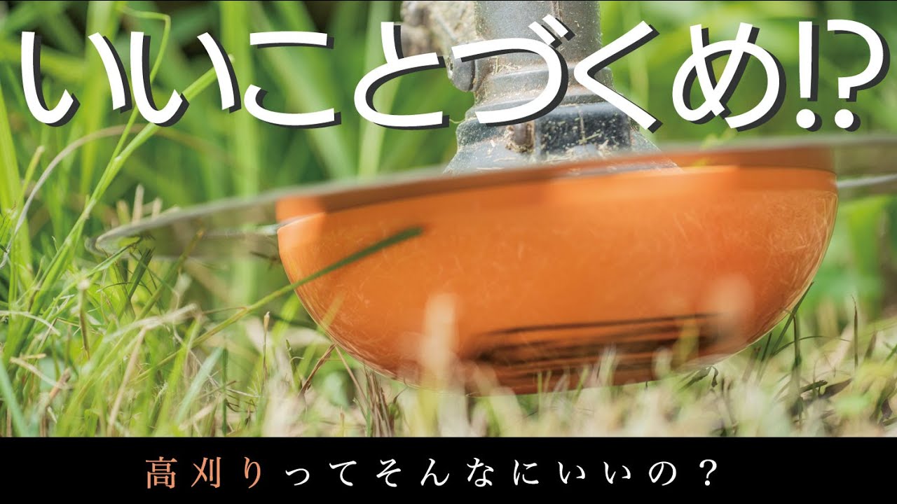 高刈りってそんなにいいの?