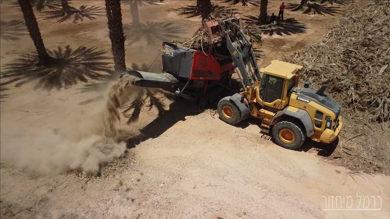 גריסת כפות תמרים ARJES 250 IMPAKTOR