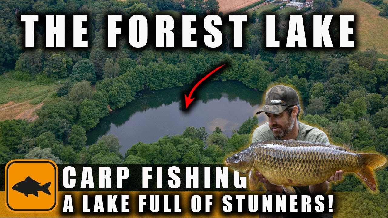 Carp Fishing in the The Forest Lake - Simon Dew