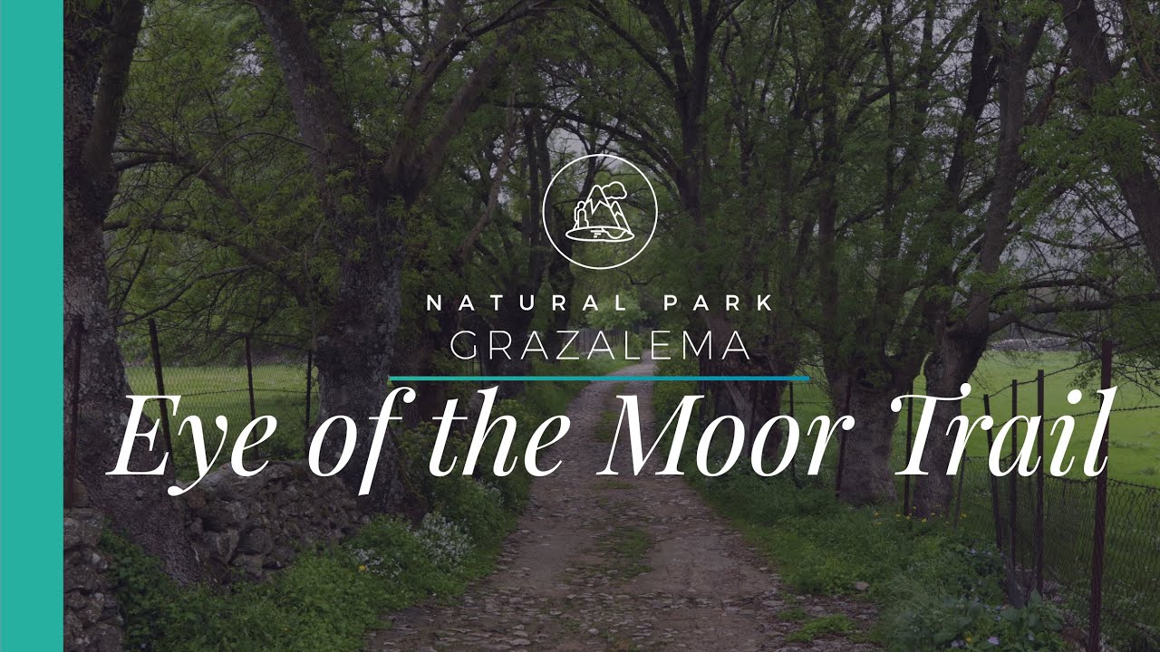 ▷ Hiking in Benaocaz Sierra de Grazalema. The Eye of the Moor Benaocaz. Cadiz | ANDALUCIA 360