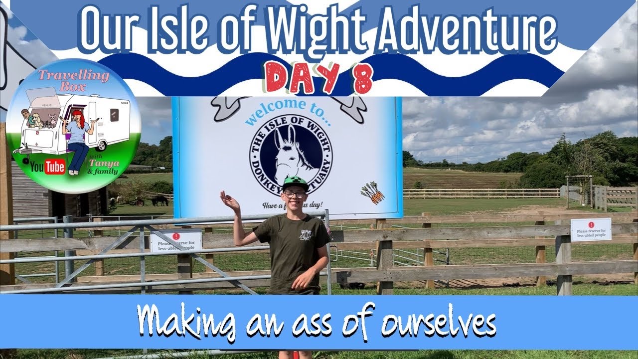 Isle of Wight: Day 8 - the donkey sanctuary
