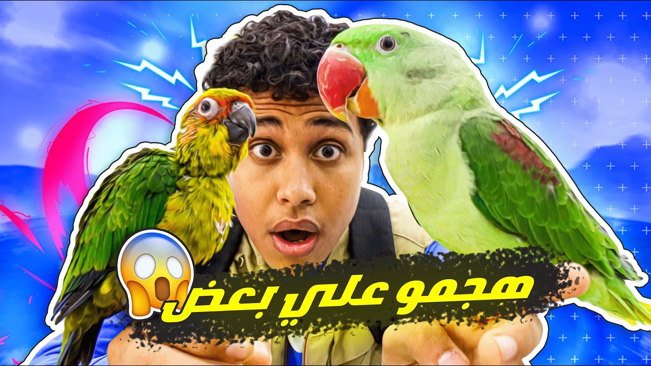 رد فعل زيكو لما شاف الطيور الكبيرة😱قابلنا الباكستاني😭