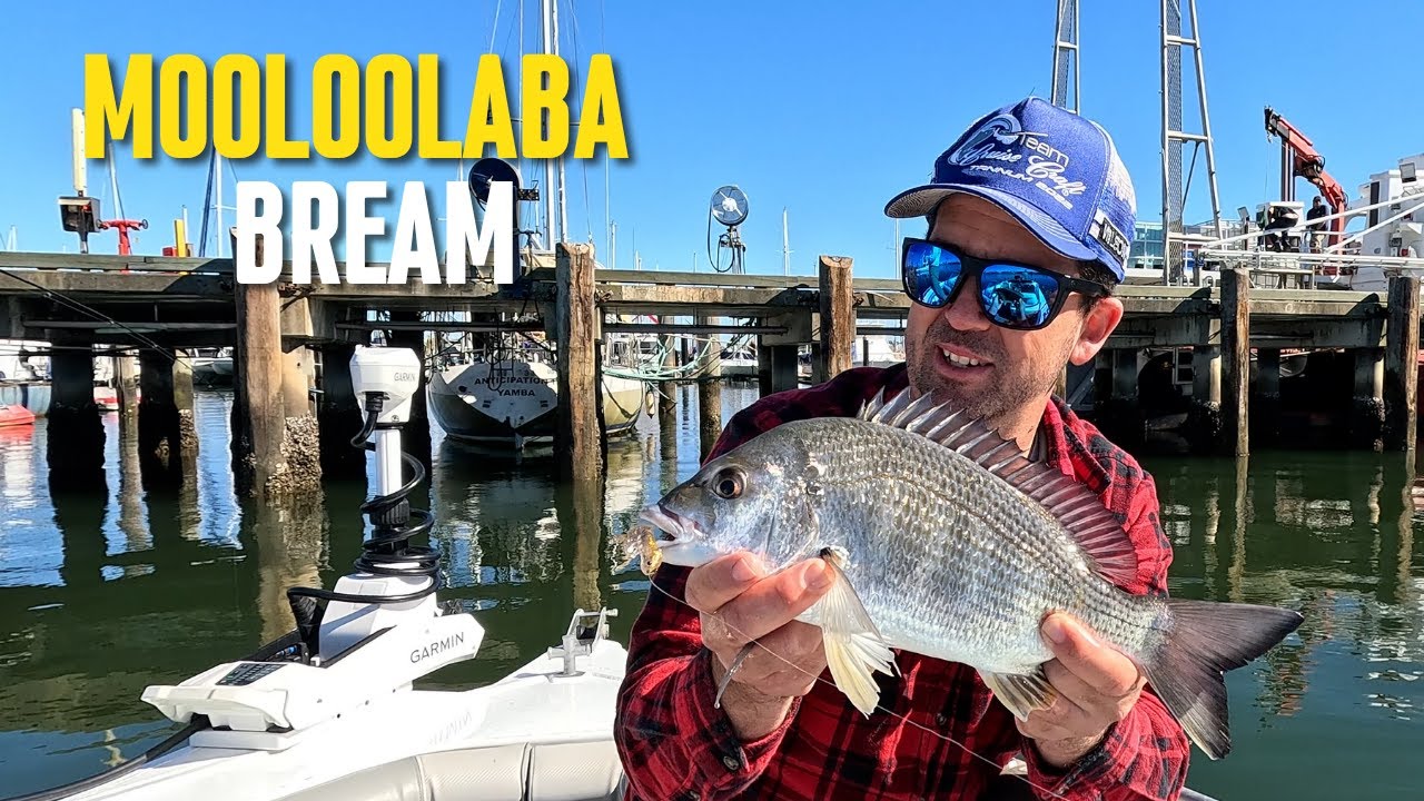 Mooloolaba Bream on Soft Plastics