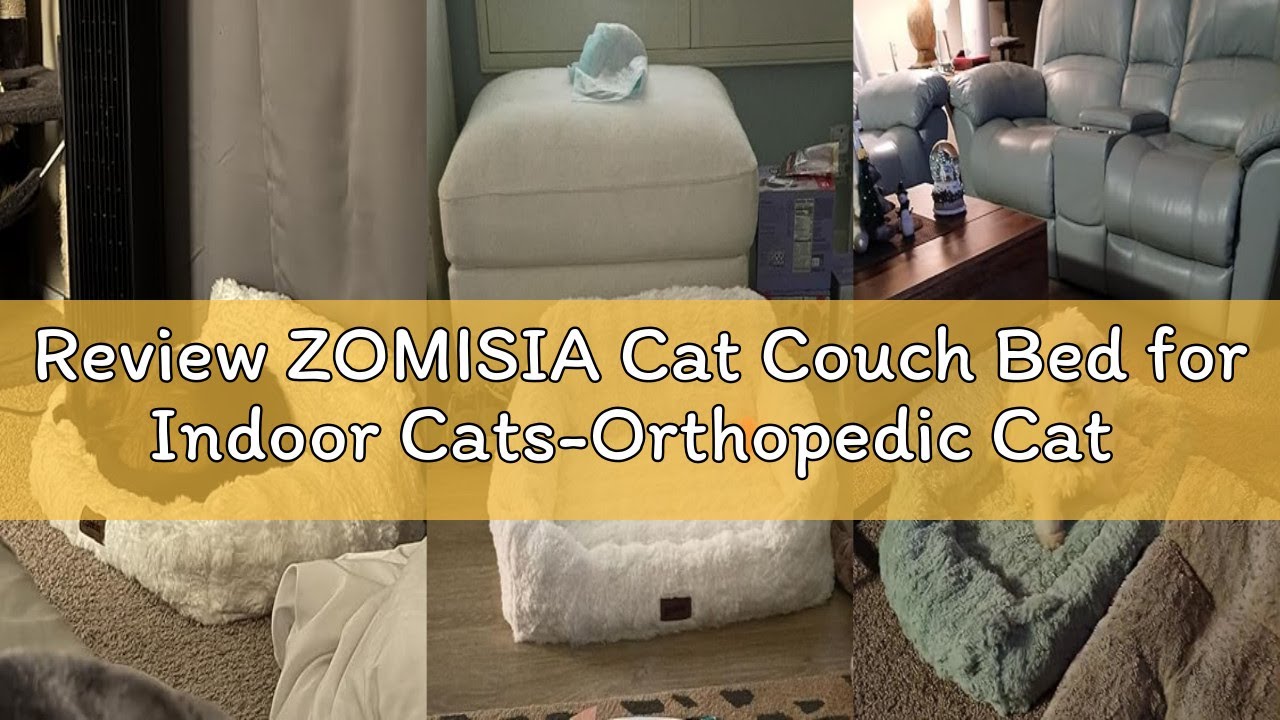 Review ZOMISIA Cat Couch Bed for Indoor Cats-Orthopedic Cat Sofa with Supportive Egg Foam, Fluffy Cu