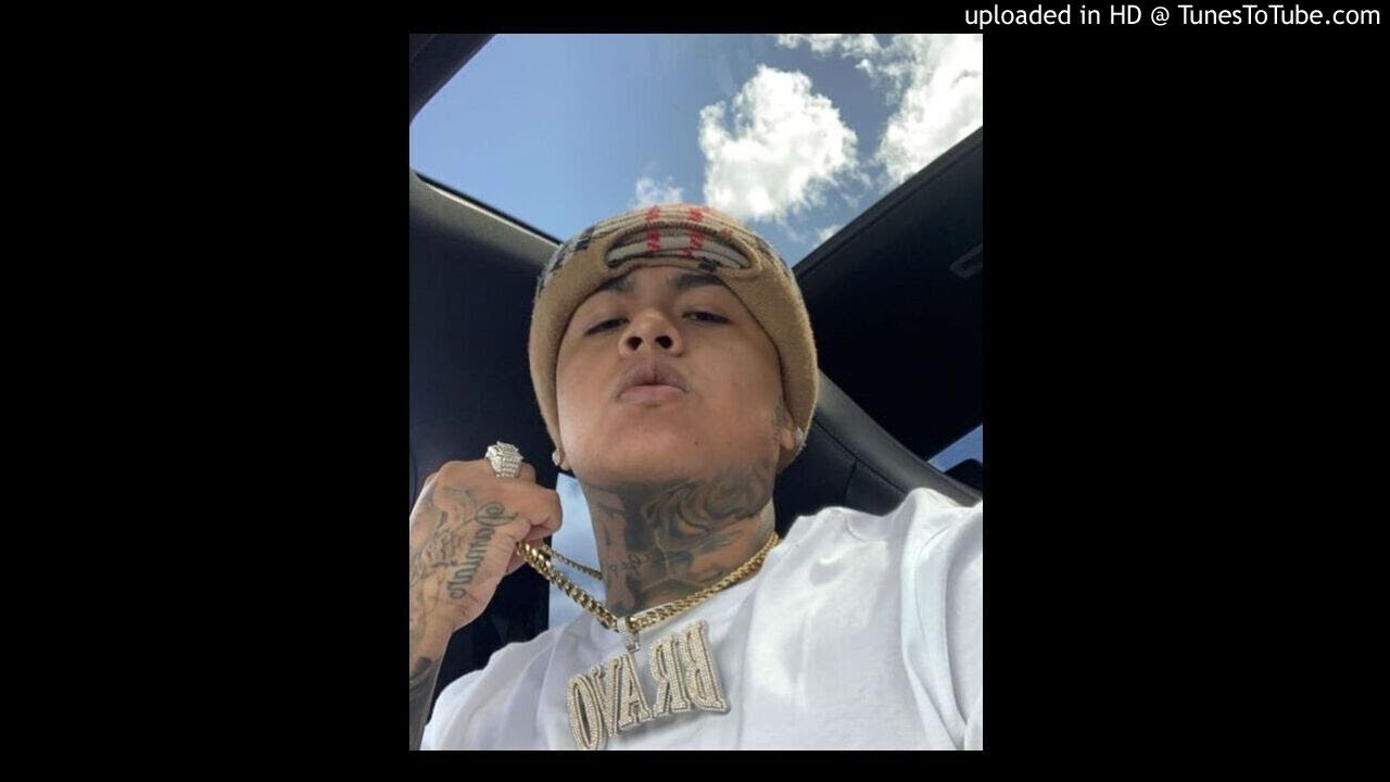 laudiano x bravo the bagchaser type beat [prod. xavygotthehits]