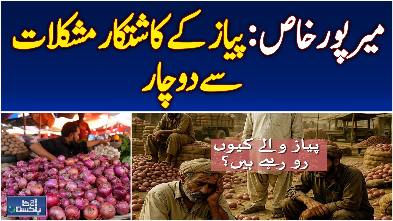 Mirpurkhas Onion Prices Fall | Farmers Face Losses | Agriculture Update - Aaj Pakistan News