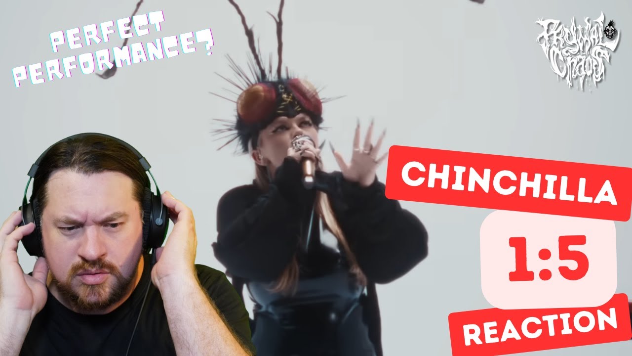 Is Chinchilla the real deal? 1:5 Reaction!