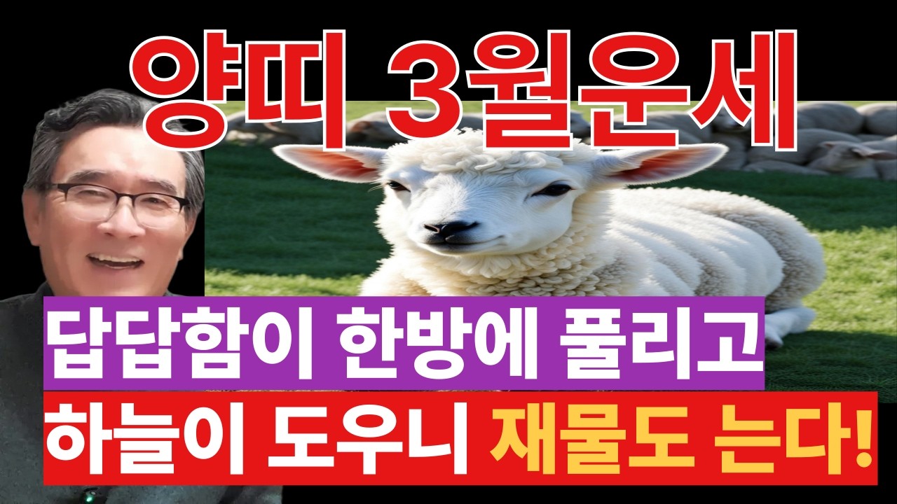 2026년 3월 양띠운세 무조건 보세요 역대급 삼합의 기적이 막혔던 재물을 쏟아낸다!  55년 을미생, 67년 정미생, 79년 기미생 나이별 운세