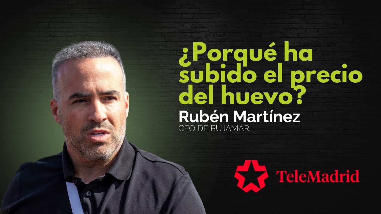LA VERDAD SOBRE EL AUMENTO DE PRECIO DEL HUEVO