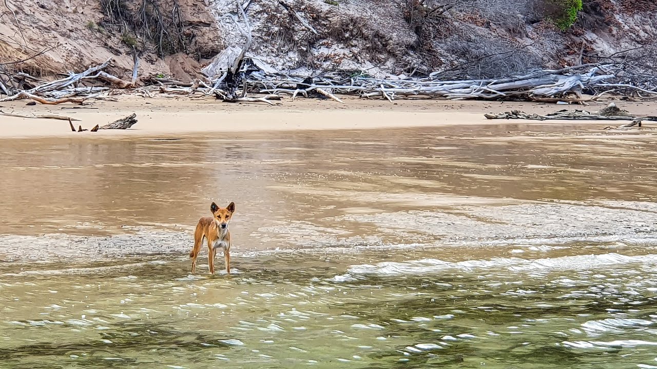 Путешествие на лодке по Большому песчаному проливу от гавани Уранган в Херви-Бей до якорной стоян...