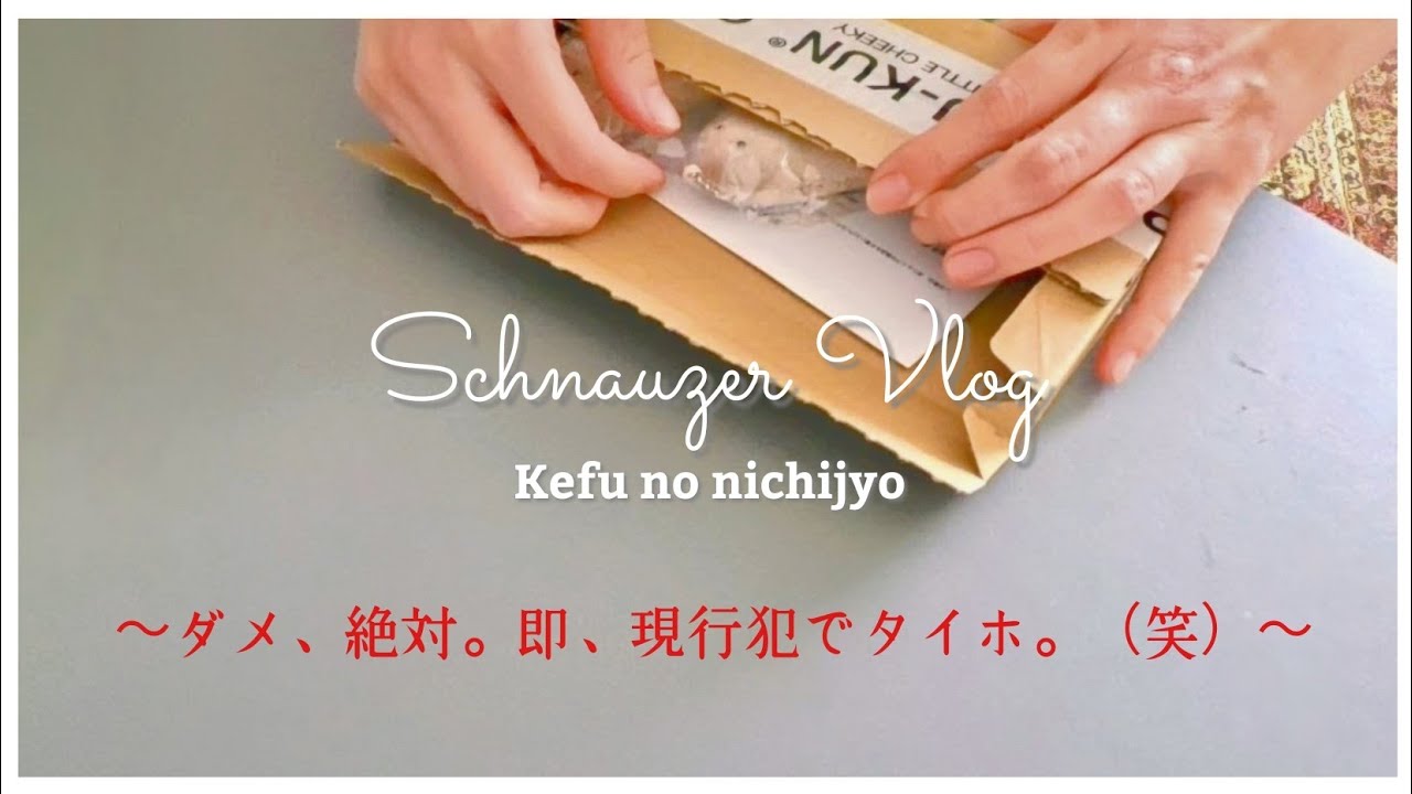届いた瞬間➴ズキュン➶ココロのスキマに入り込む