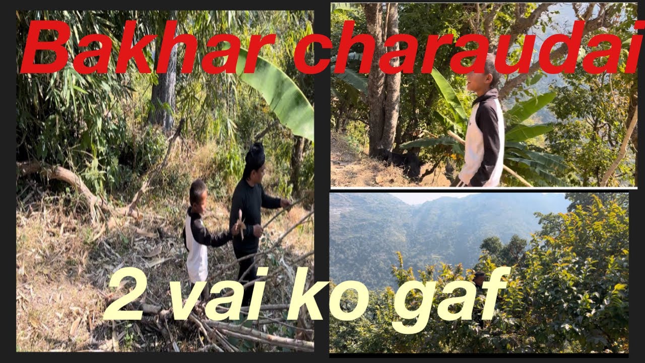 Sasurali gau 