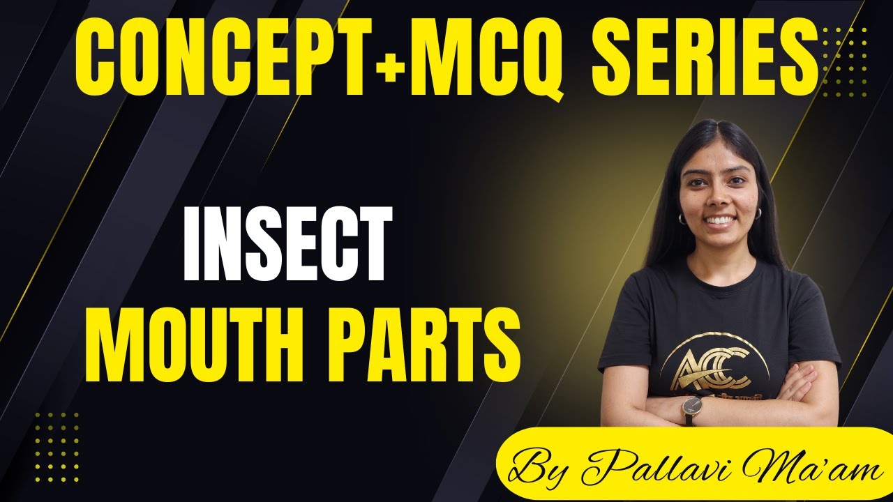 Mouth Parts of Insects: Easy Concepts + 10 Engaging MCQs for Mastery! #35