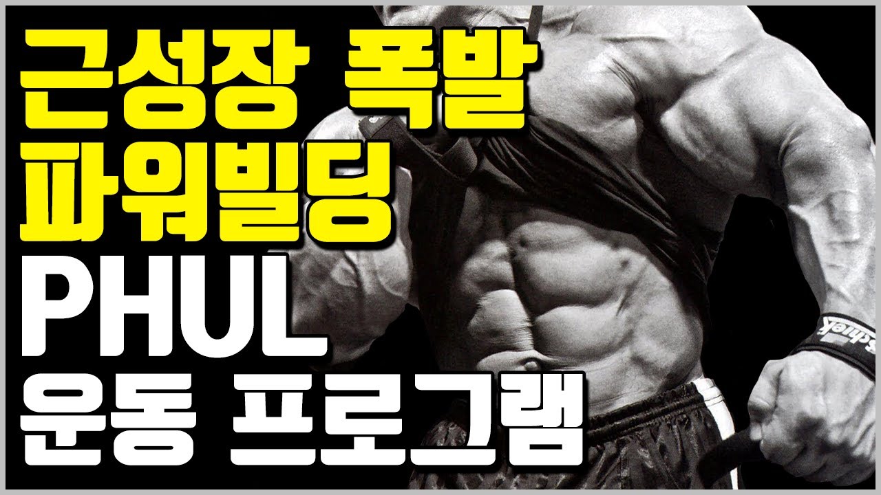 3대 중량과 근비대까지 생각한 완벽한 파워빌딩 프로그램 PHUL