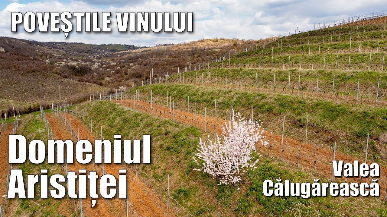 Poveștile vinului - descoperim crama Domeniul Aristitei