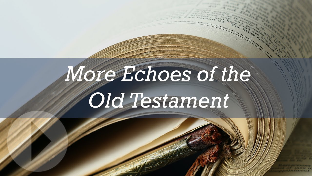 More Echoes of the Old Testament - Peter J. Williams