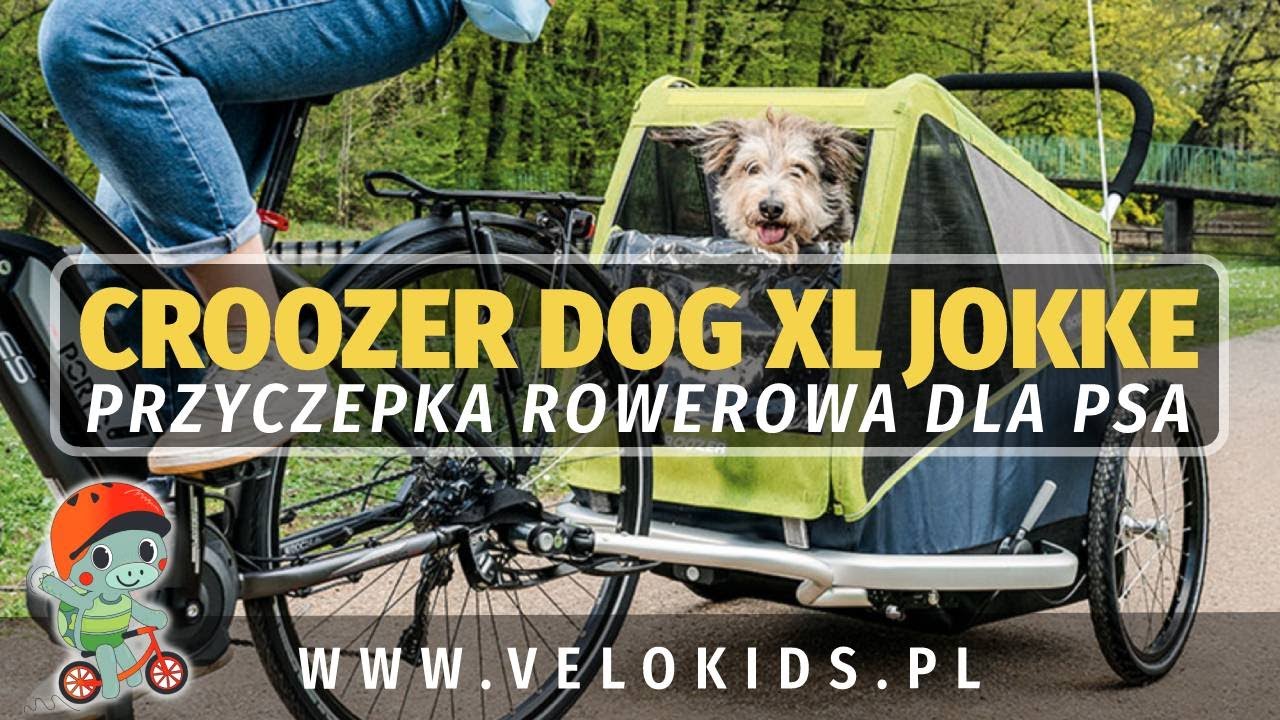 Croozer Dog XL przyczepka rowerowa dla psa