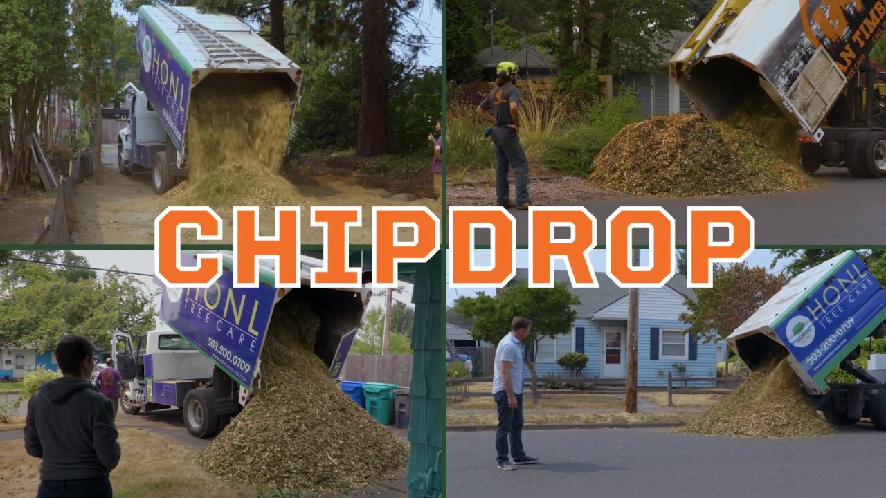 So You Really DO Want a ChipDrop