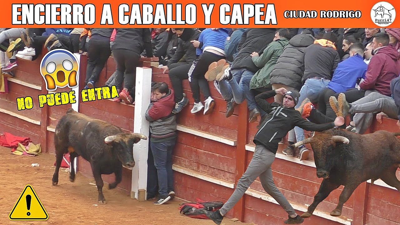 CARNAVAL DEL TORO 2025!/ESPECTACULAR ENCIERRO A CABALLO Y CAPEA-MUCHOS SUSTOS😱🔥