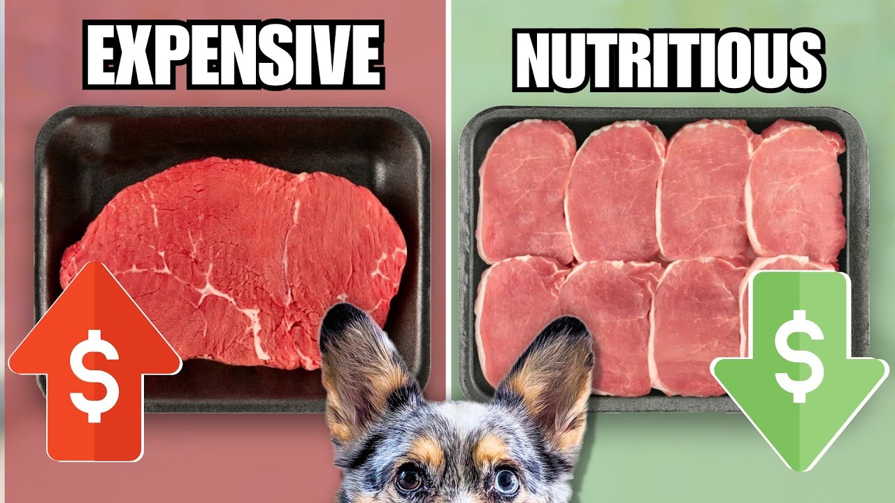 How To Save Money When Raw Feeding