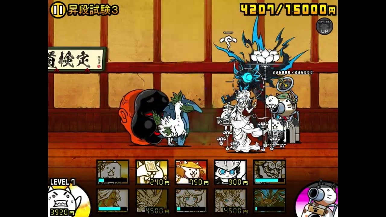 にゃんこ道検定を攻略するルーノ
