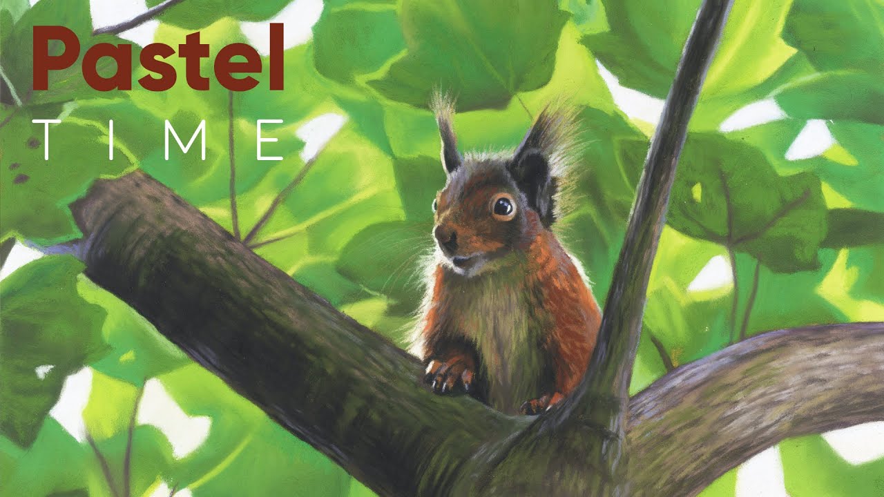 Red Squirrel in Soft Pastel - Timelapse