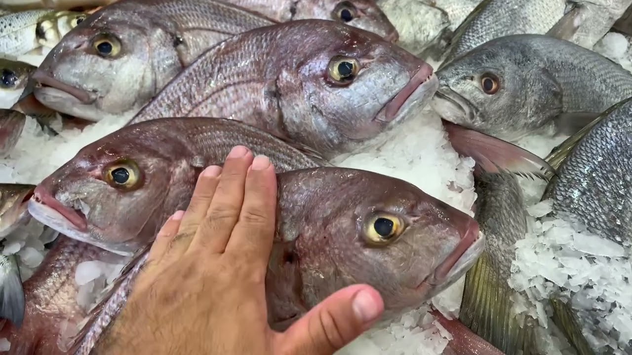 السلام عليكم ورحمة الله سمك الأربعاء 30/07/2025 الجودة والثمن مزيان 0664253637