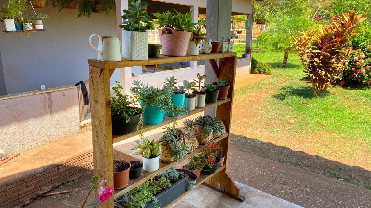 CUIDANDO DO MEU JARDIM DE SUCULENTAS, PASSEIO PELAS MINHAS GORDINHAS! FRAN ADORNO