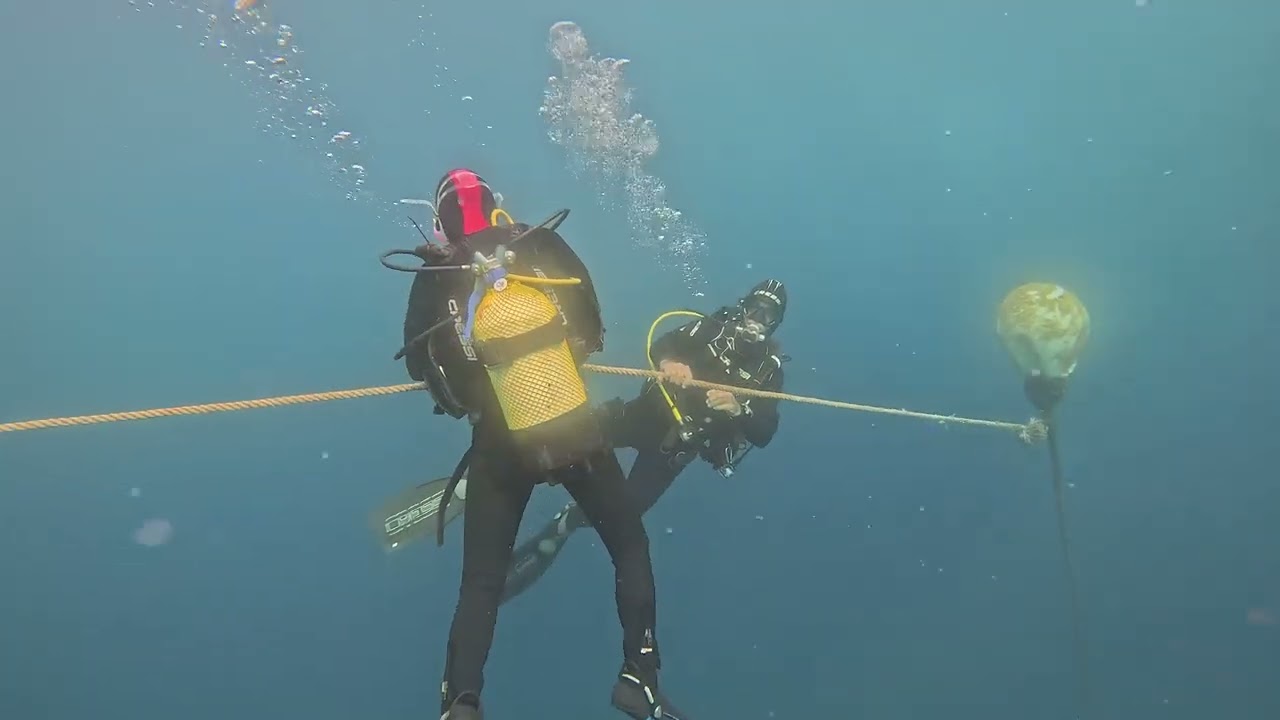 Buceo en Begur 19/08/25