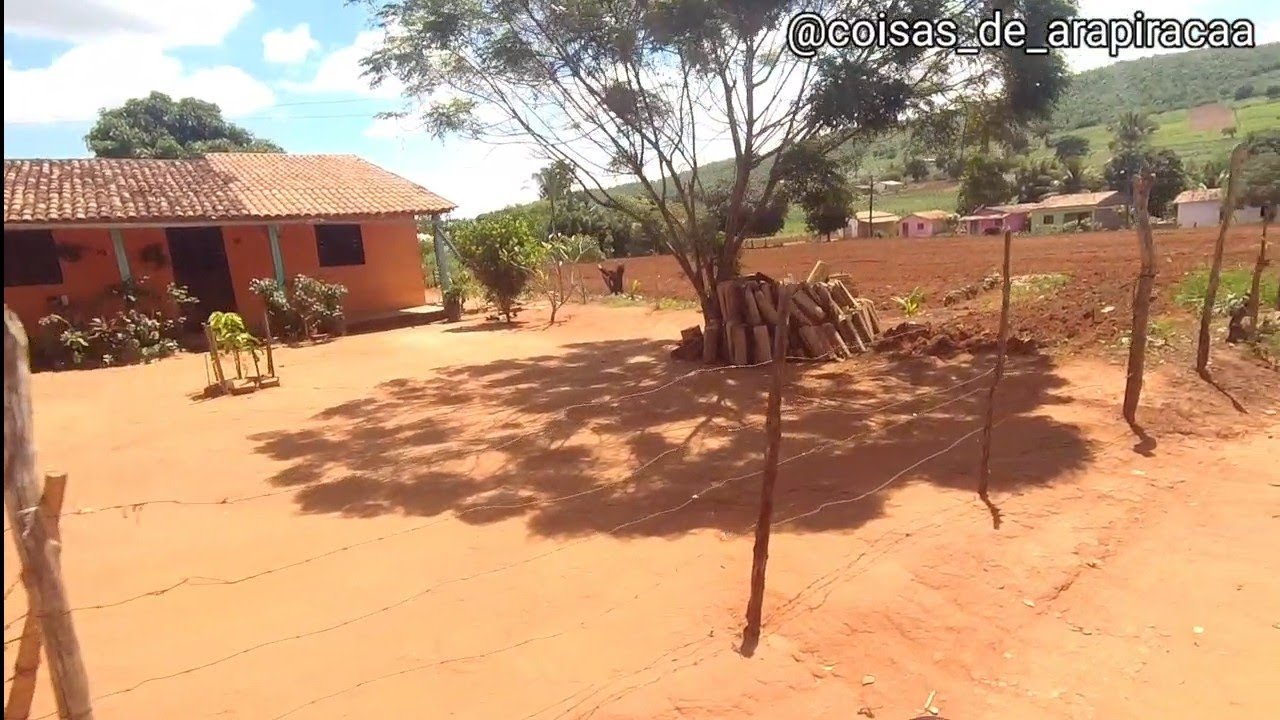 Sítio Carrasco Arapiraca Alagoas Brasil 2021