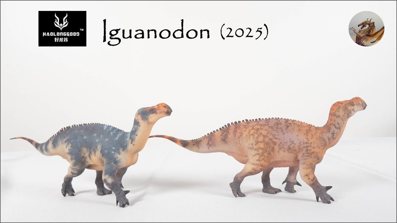 351: Haolonggood (好龙谷) Iguanodon 2025 Review 5300K